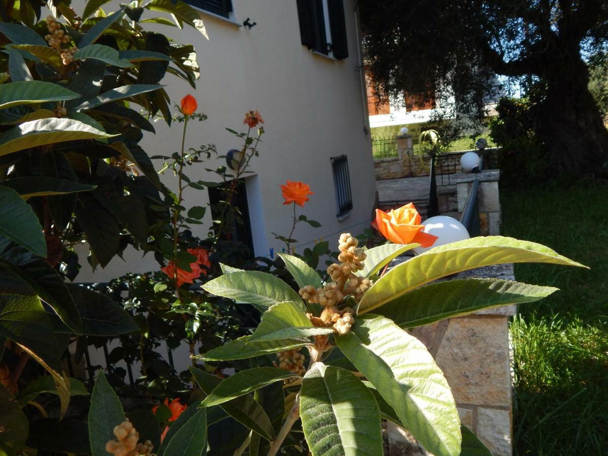 Villa Dimitra Sívota Eksteriør bilde